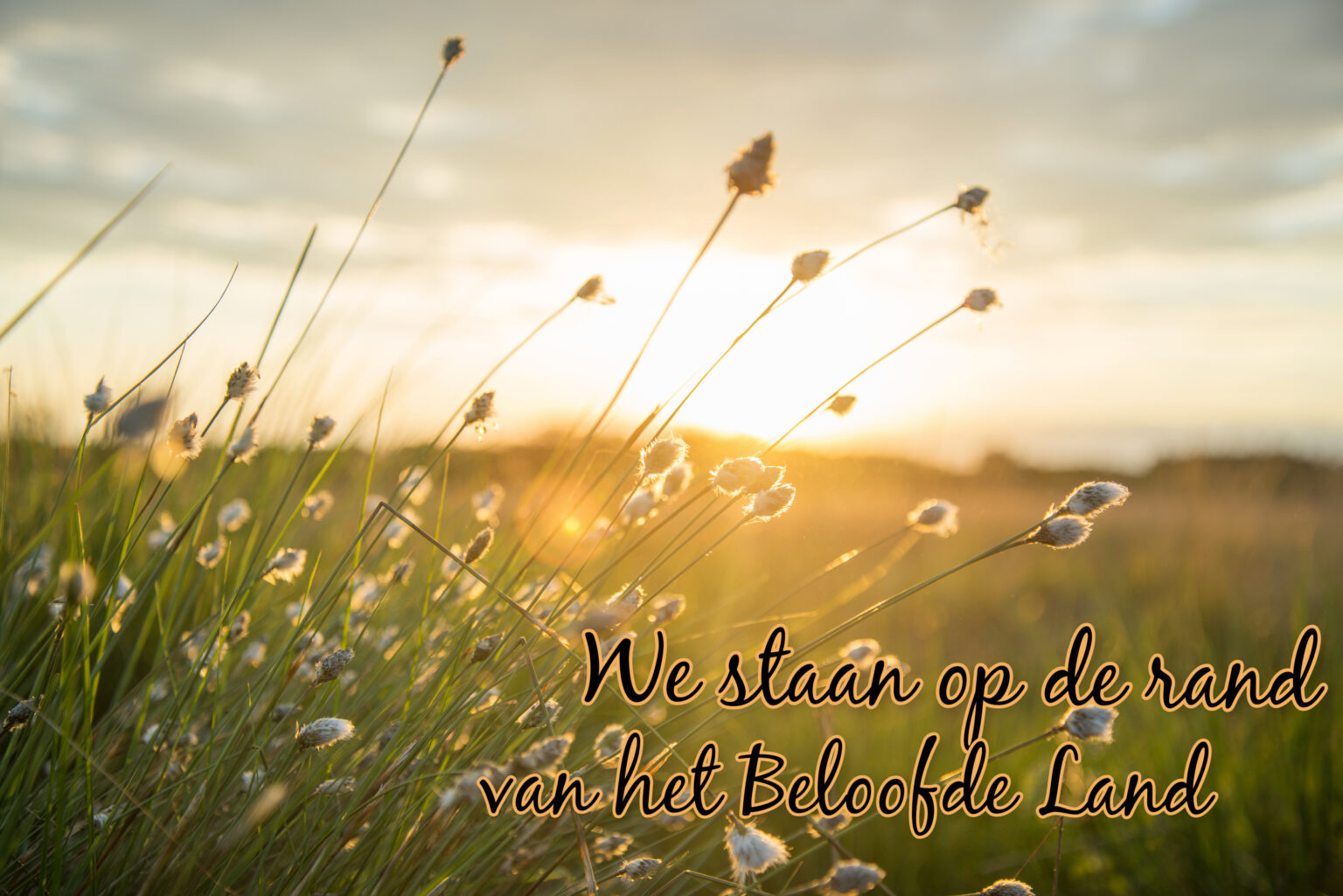 OP DE RAND VAN HET BELOOFDE LAND - Godskalender