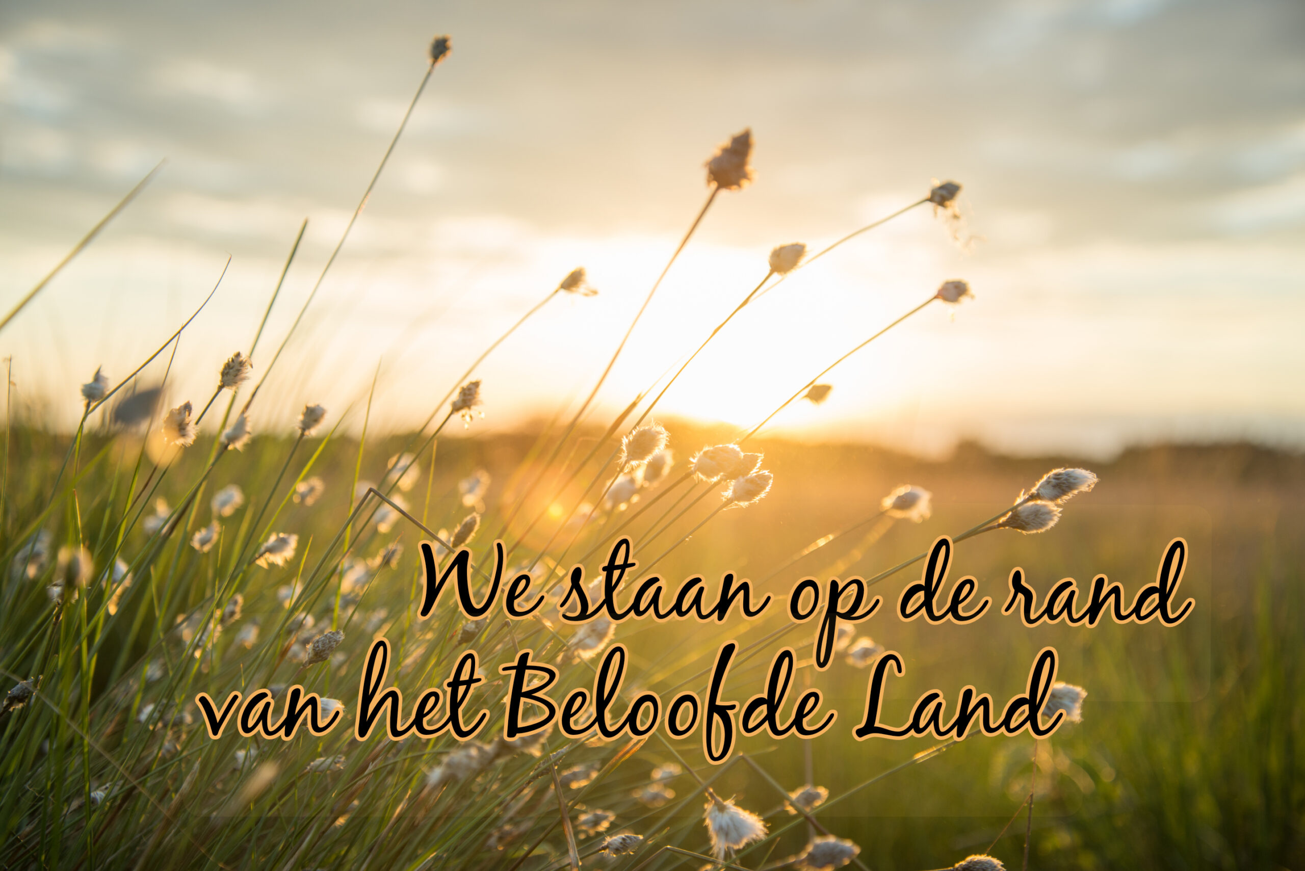 OP DE RAND VAN HET BELOOFDE LAND - Godskalender